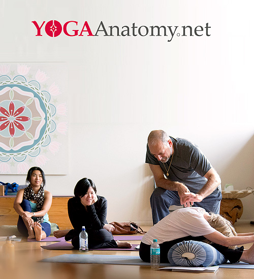 YOGAAnatomy.net